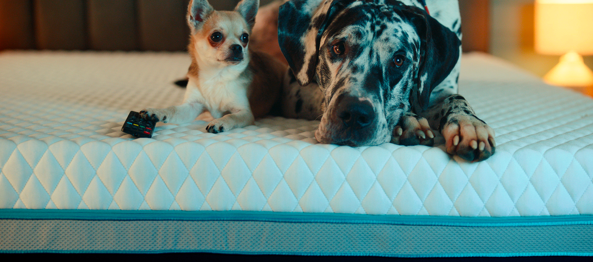 Simba TVC